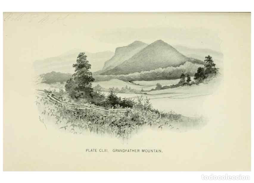 Collection Magazines and Newspapers: Reproducci&oacute;n/Reproduction 8427317094: Southern wild flowers and trees,. New York,Stokes[1901] - Loun