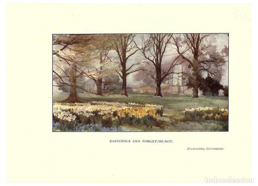 Collezionismo di Riviste e Giornali: Reproducci&oacute;n/Reproduction 6285787653: Garden colour London,E. P. Dutton & company,1905 - Margaret H.