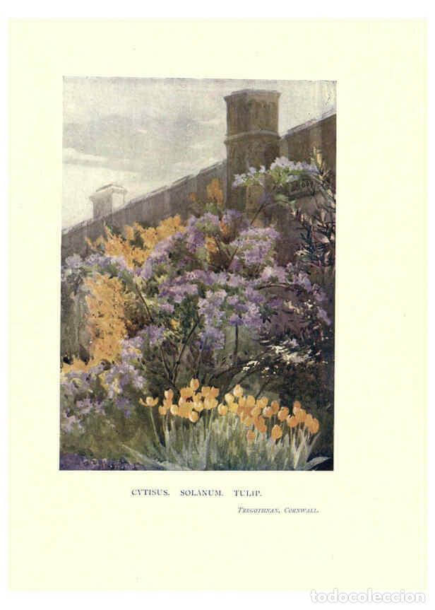 Collezionismo di Riviste e Giornali: Reproducci&oacute;n/Reproduction 6285788573: Garden colour London,E. P. Dutton & company,1905 - Margaret H.