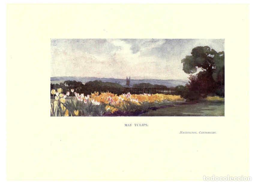 Collezionismo di Riviste e Giornali: Reproducci&oacute;n/Reproduction 6285788737: Garden colour London,E. P. Dutton & company,1905 - Margaret H.