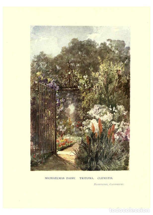 Collezionismo di Riviste e Giornali: Reproducci&oacute;n/Reproduction 6286307634: Garden colour London,E. P. Dutton & company,1905 - Margaret H.