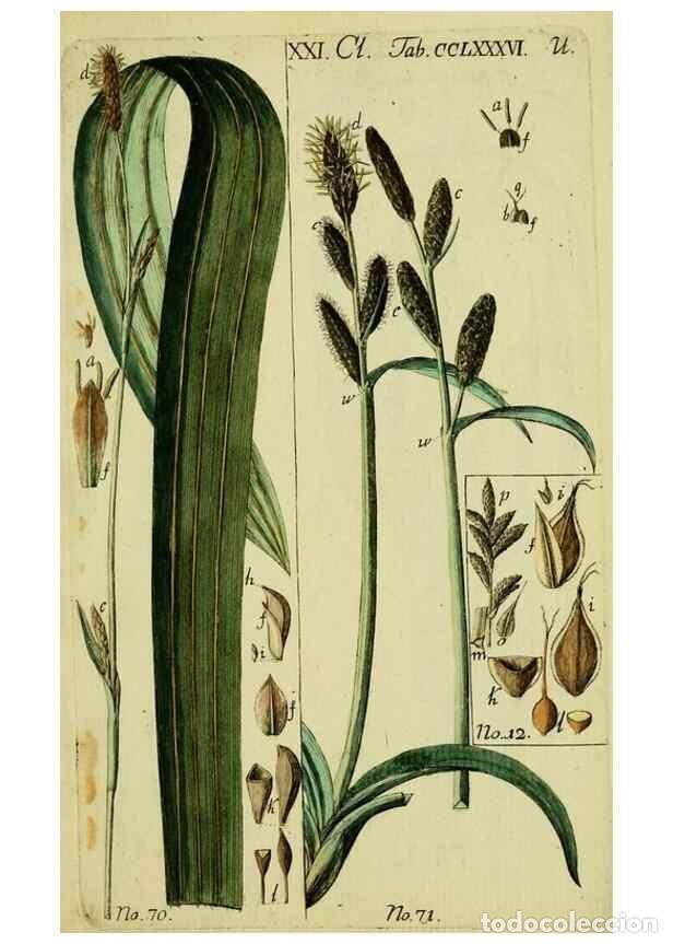 Coleccionismo de Revistas y Peri&oacute;dicos: Reproducci&oacute;n/Reproduction 8288465536: Beschreibung und Abbildung der theils bekannten, theils noch n