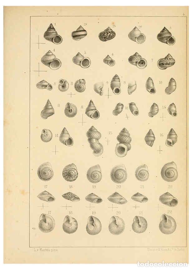 Coleccionismo de Revistas y Peri&oacute;dicos: Reproducci&oacute;n/Reproduction 6285631841: Die Preussische expedition nach Ost-Asien. Bd.2. Berlin :K&ouml;nig