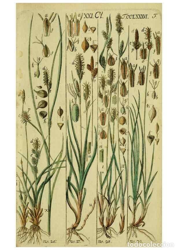 Coleccionismo de Revistas y Peri&oacute;dicos: Reproducci&oacute;n/Reproduction 8288450514: Beschreibung und Abbildung der theils bekannten, theils noch n