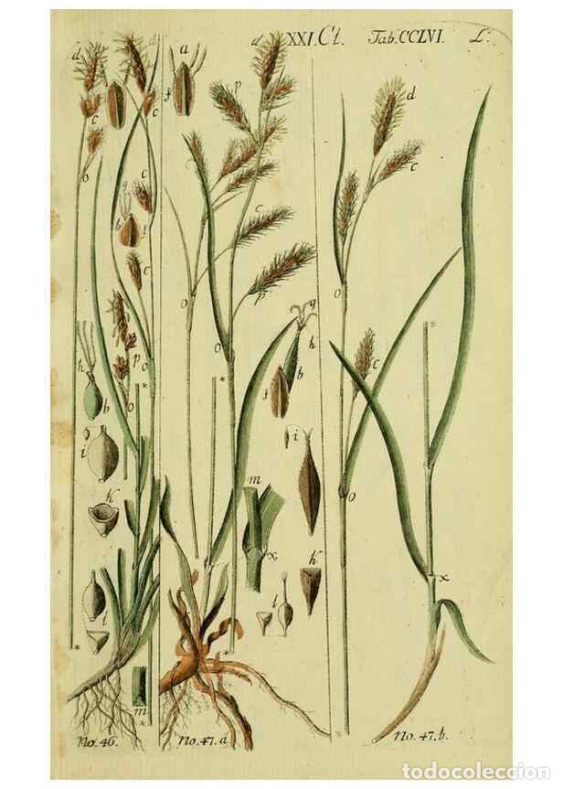 Coleccionismo de Revistas y Peri&oacute;dicos: Reproducci&oacute;n/Reproduction 8287396257: Beschreibung und Abbildung der theils bekannten, theils noch n