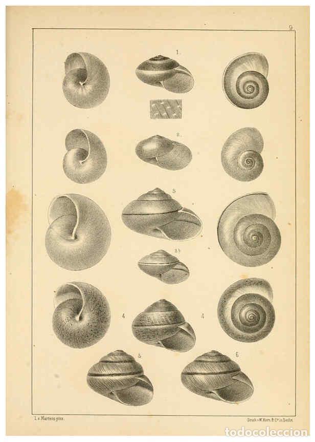 Collezionismo di Riviste e Giornali: Reproducci&oacute;n/Reproduction 6285632605: Die Preussische expedition nach Ost-Asien. Bd.2. Berlin :K&ouml;nig