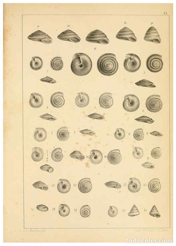 Collezionismo di Riviste e Giornali: Reproducci&oacute;n/Reproduction 6285633255: Die Preussische expedition nach Ost-Asien. Bd.2. Berlin :K&ouml;nig