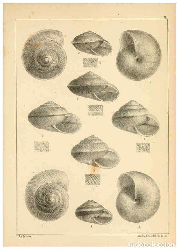 Collezionismo di Riviste e Giornali: Reproducci&oacute;n/Reproduction 6285632751: Die Preussische expedition nach Ost-Asien. Bd.2. Berlin :K&ouml;nig