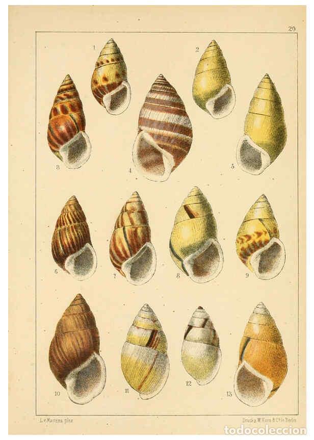 Collezionismo di Riviste e Giornali: Reproducci&oacute;n/Reproduction 6286155454: Die Preussische expedition nach Ost-Asien. Bd.2. Berlin :K&ouml;nig