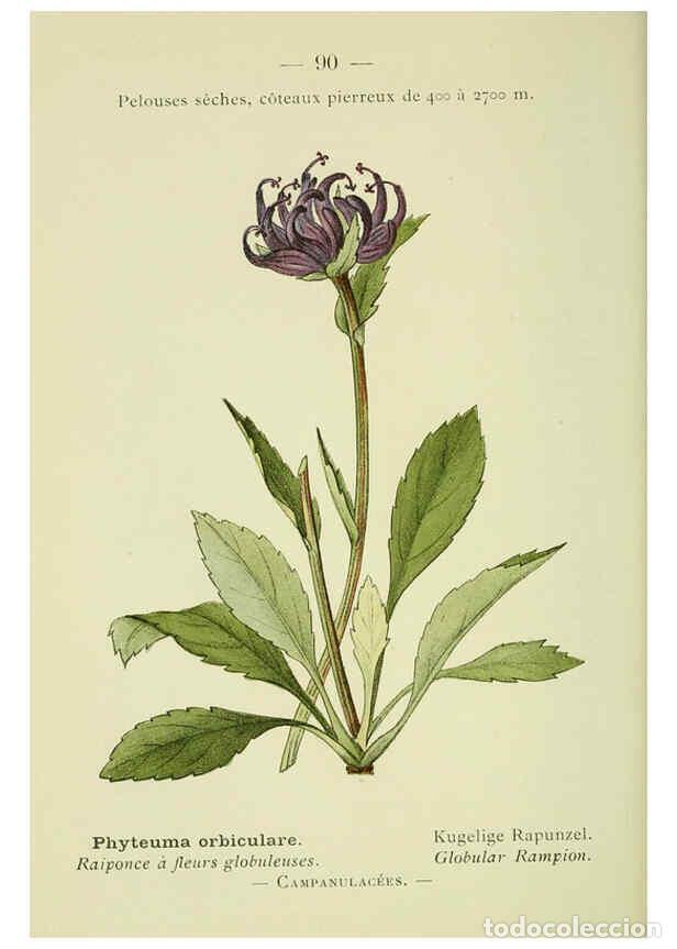 Collezionismo di Riviste e Giornali: Reproducci&oacute;n/Reproduction 6298287587: Nouvelle flore colori&eacute;e de poche des Alpes et des Pyr&eacute;n&eacute;es. v.