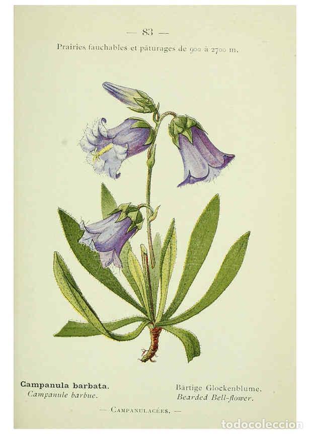 Collezionismo di Riviste e Giornali: Reproducci&oacute;n/Reproduction 6298816870: Nouvelle flore colori&eacute;e de poche des Alpes et des Pyr&eacute;n&eacute;es. v.