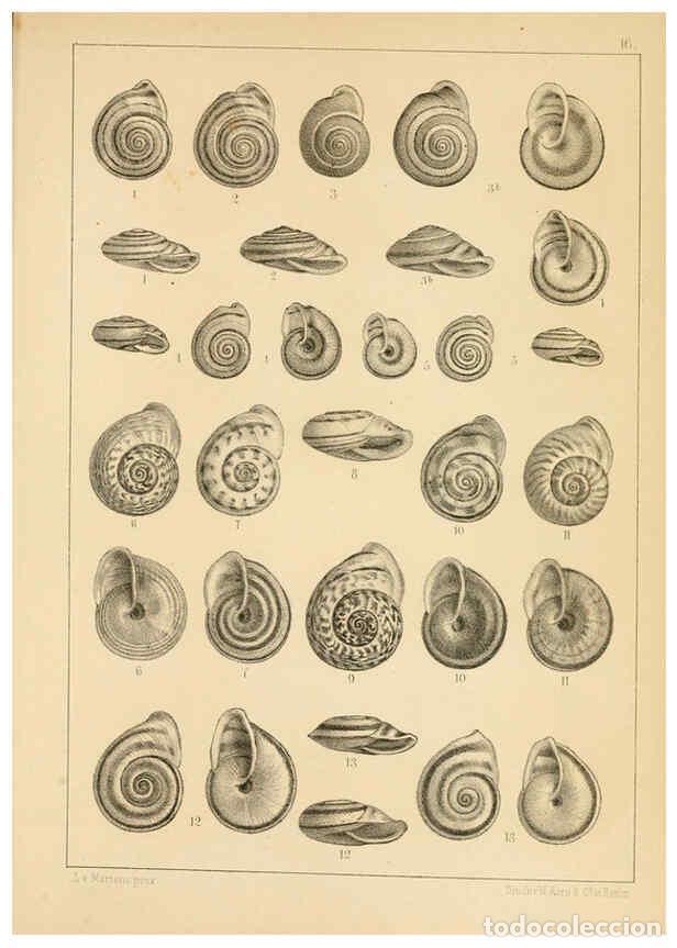 Collezionismo di Riviste e Giornali: Reproducci&oacute;n/Reproduction 6286154890: Die Preussische expedition nach Ost-Asien. Bd.2. Berlin :K&ouml;nig