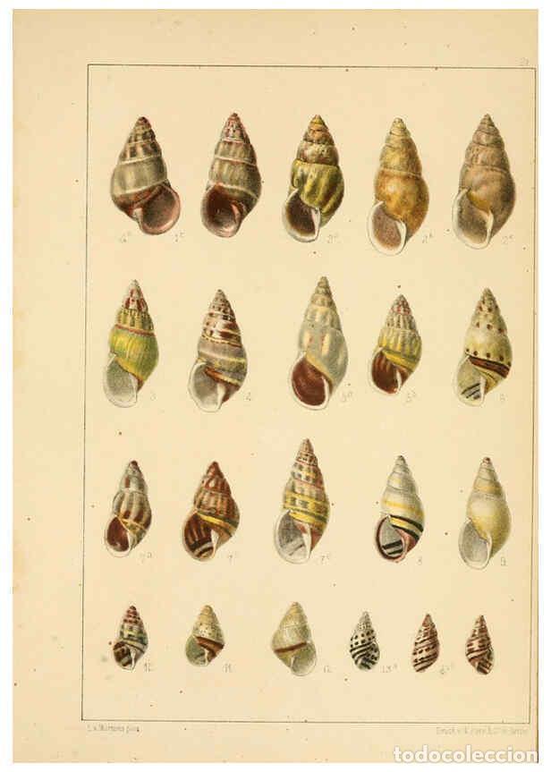 Collezionismo di Riviste e Giornali: Reproducci&oacute;n/Reproduction 6285634461: Die Preussische expedition nach Ost-Asien. Bd.2. Berlin :K&ouml;nig