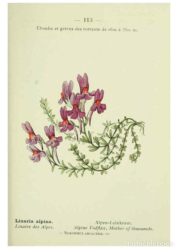 Collezionismo di Riviste e Giornali: Reproducci&oacute;n/Reproduction 6298294735: Nouvelle flore colori&eacute;e de poche des Alpes et des Pyr&eacute;n&eacute;es. v.