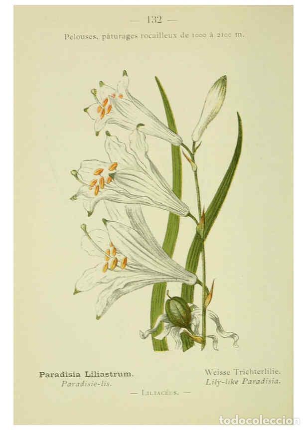 Collezionismo di Riviste e Giornali: Reproducci&oacute;n/Reproduction 6298299765: Nouvelle flore colori&eacute;e de poche des Alpes et des Pyr&eacute;n&eacute;es. v.