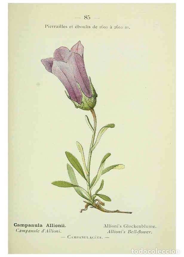 Colecionismo de Revistas e Jornais: Reproducci&oacute;n/Reproduction 6298286253: Nouvelle flore colori&eacute;e de poche des Alpes et des Pyr&eacute;n&eacute;es. v.