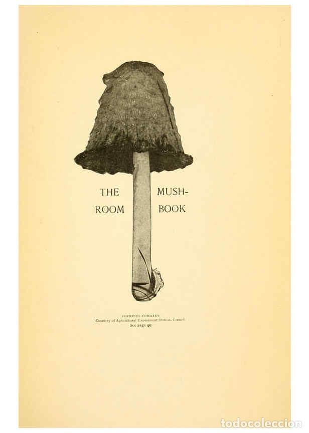 Coleccionismo de revistas y peri&oacute;dicos: Reproducci&oacute;n/Reproduction 6289374630: The mushroom book Garden City, N.Y. :Doubleday, Page,1920 - Ni