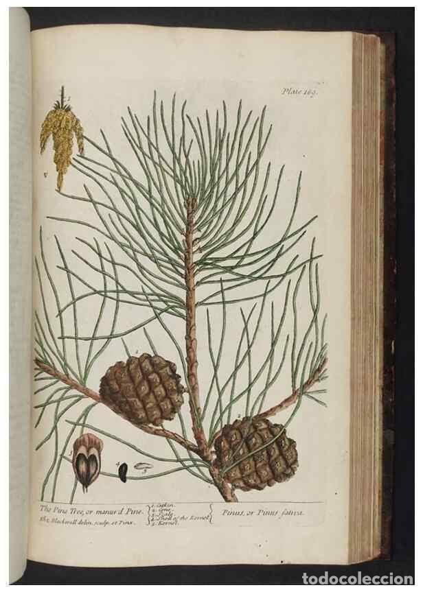 Collectionnisme de Revues et Journaux: Reproducci&oacute;n/Reproduction 8252813086: A curious herbal. London : Printed for Samuel Harding, 1737-17