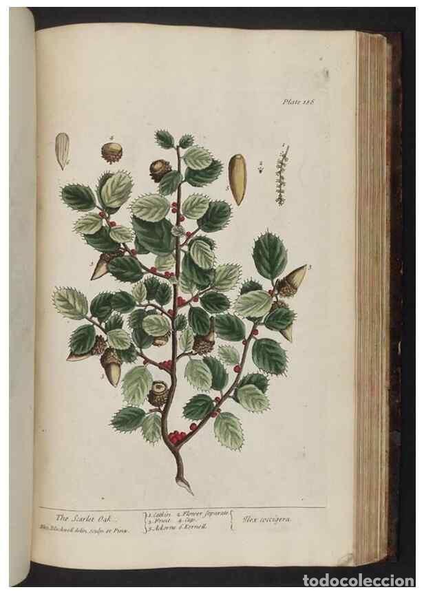 Collectionnisme de Revues et Journaux: Reproducci&oacute;n/Reproduction 8252812516: A curious herbal. London : Printed for Samuel Harding, 1737-17