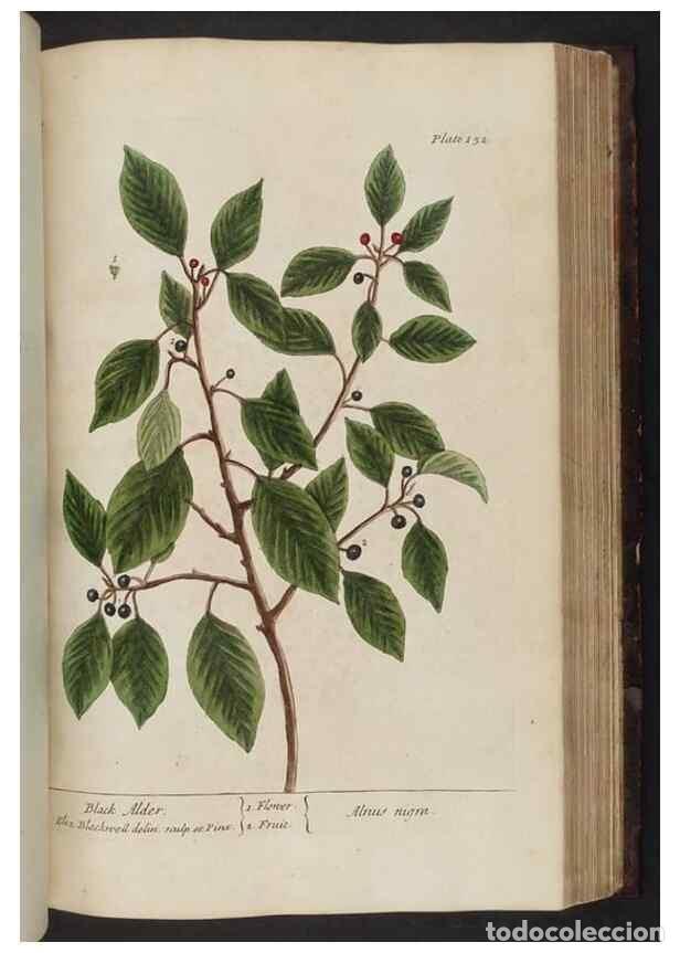 Collectionnisme de Revues et Journaux: Reproducci&oacute;n/Reproduction 8251734503: A curious herbal. London : Printed for Samuel Harding, 1737-17