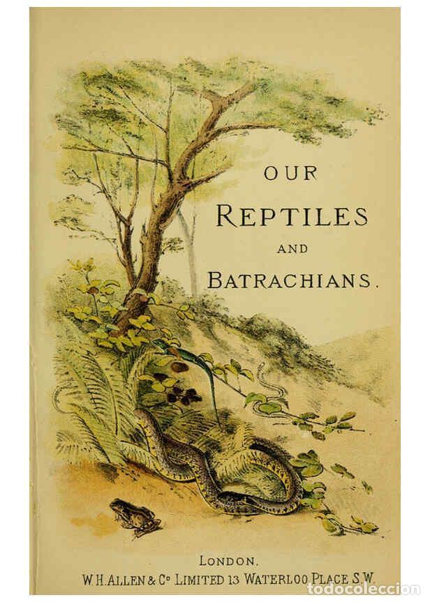 Collectionnisme de Revues et Journaux: Reproducci&oacute;n/Reproduction 6298195591: Our reptiles and batrachians London,W. H. Allen & co., limited