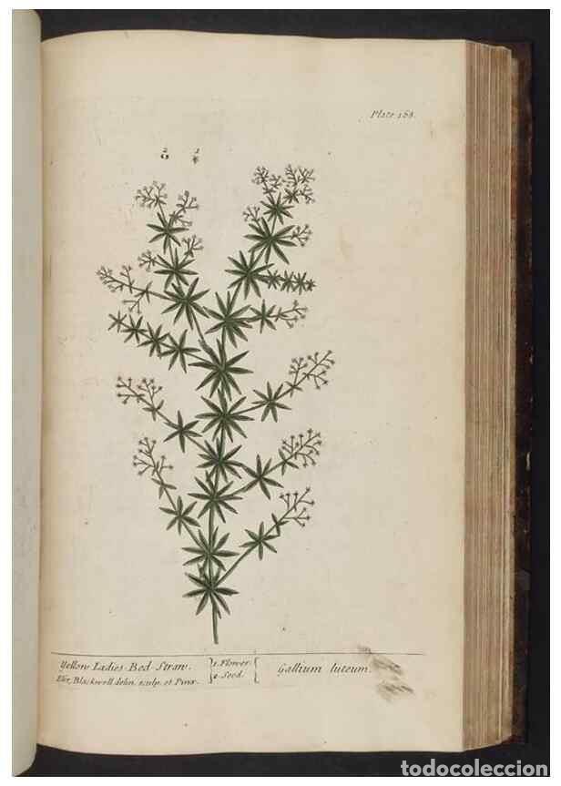 Collectionnisme de Revues et Journaux: Reproducci&oacute;n/Reproduction 8252808852: A curious herbal. London : Printed for Samuel Harding, 1737-17