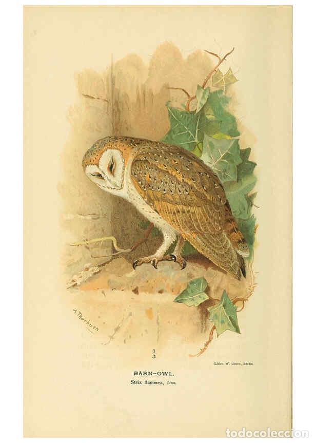 Collectionnisme de Revues et Journaux: Reproducci&oacute;n/Reproduction 6298604566: Coloured figures of the birds of the British Islands. v.1 Lond