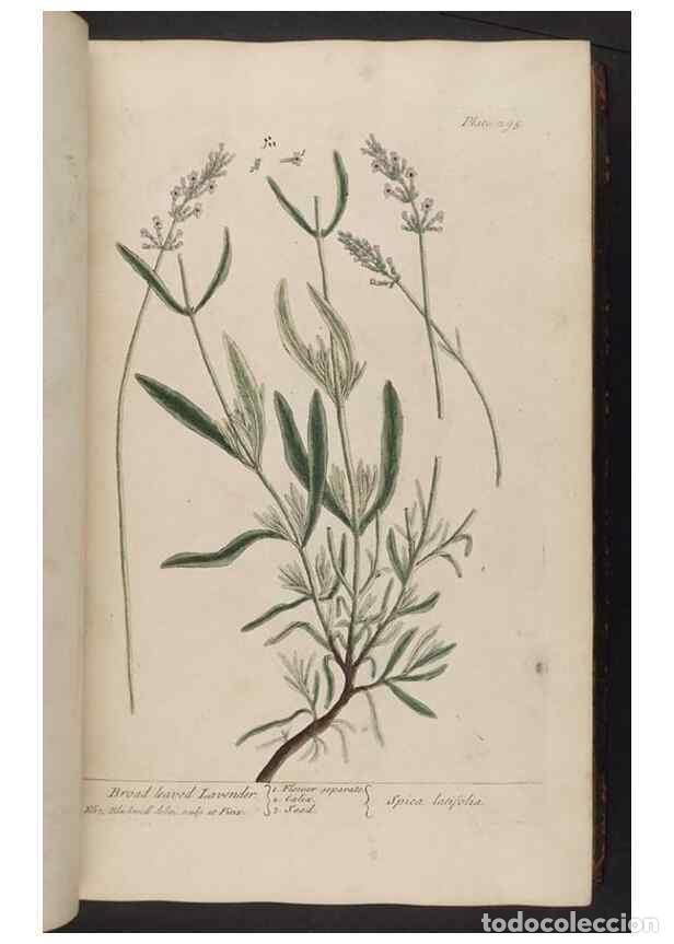 Collection Magazines and Newspapers: Reproducci&oacute;n/Reproduction 8361115581: A curious herbal. London : Printed for Samuel Harding, 1737-17