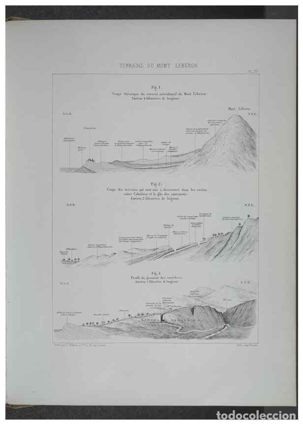 Collection Magazines and Newspapers: Reproducci&oacute;n/Reproduction 8357809445: Animaux fossiles du Mont Leberon (Vaucluse) :. Paris :Societe