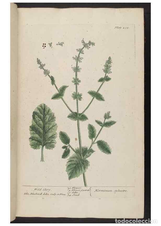 Collection Magazines and Newspapers: Reproducci&oacute;n/Reproduction 8361105623: A curious herbal. London : Printed for Samuel Harding, 1737-17