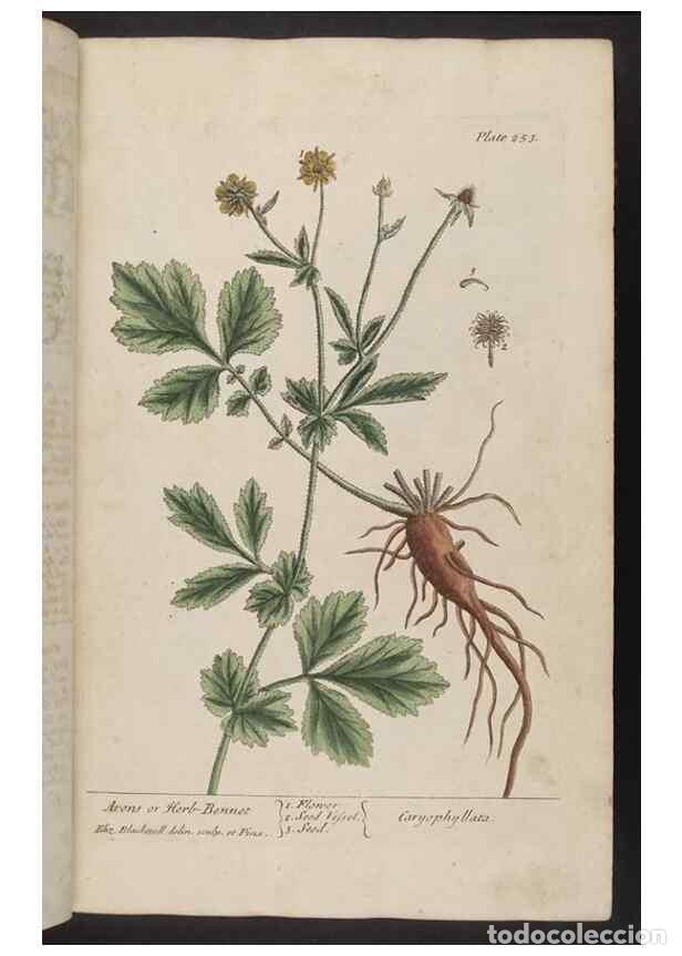 Collection Magazines and Newspapers: Reproducci&oacute;n/Reproduction 8361104163: A curious herbal. London : Printed for Samuel Harding, 1737-17