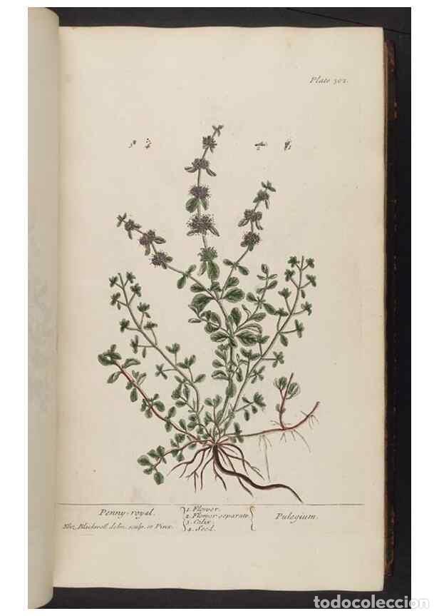 Coleccionismo de Revistas y Peri&oacute;dicos: Reproducci&oacute;n/Reproduction 8362179186: A curious herbal. London : Printed for Samuel Harding, 1737-17
