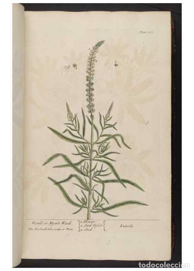 Coleccionismo de Revistas y Peri&oacute;dicos: Reproducci&oacute;n/Reproduction 8361112113: A curious herbal. London : Printed for Samuel Harding, 1737-17