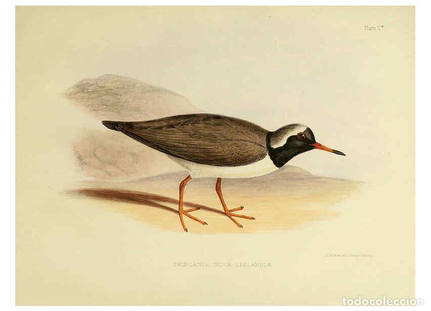 Colecionismo de Revistas e Jornais: Reproducci&oacute;n/Reproduction 6257854053: The zoology of the voyage of the H.M.S. Erebus & Terror. v.1.