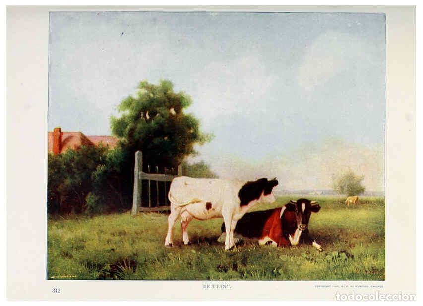 Coleccionismo de Revistas y Peri&oacute;dicos: Reproducci&oacute;n/Reproduction 6276418885: Nature neighbors. v.5. Chicago,American Audobon association[c1