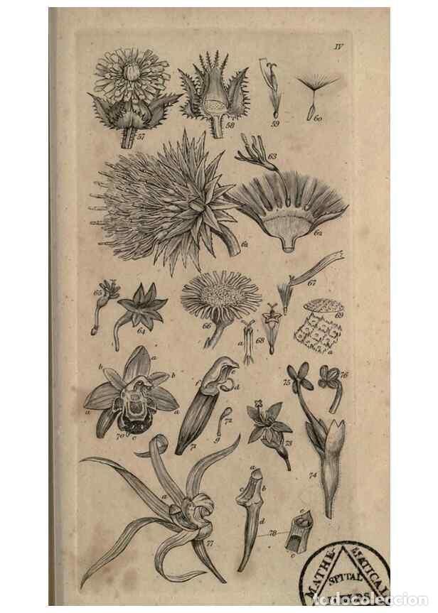 Sammeln von Zeitschriften und Zeitungen: Reproducci&oacute;n/Reproduction 8448489302: A grammar of botany,. London,Longman,1821. - Smith, James Edwa