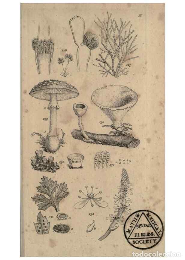 Colecionismo de Revistas e Jornais: Reproducci&oacute;n/Reproduction 8447402933: A grammar of botany,. London,Longman,1821. - Smith, James Edwa