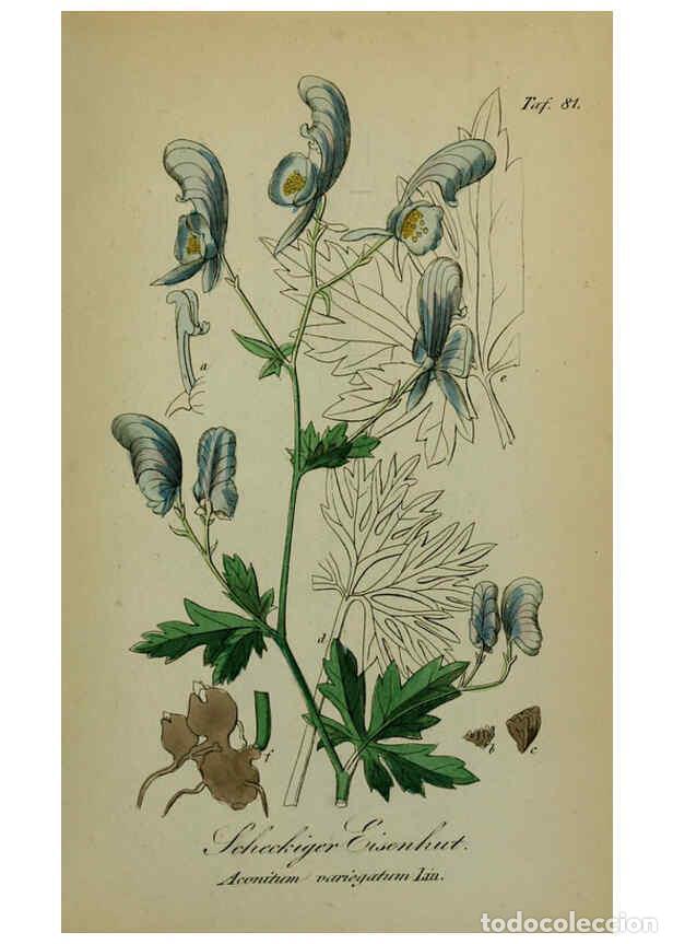 Collezionismo di Riviste e Giornali: Reproducci&oacute;n/Reproduction 6130314345: S&auml;mmtliche Giftgew&auml;chse Deutschlands Leipzig :F. Voight,1854 -