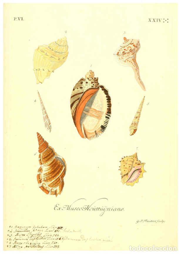 Sammeln von Zeitschriften und Zeitungen: Reproducci&oacute;n/Reproduction 6096122049: Vergn&uuml;gen der Augen und des Gem&uuml;ths. v.2 atlas. [Nuremberg :17