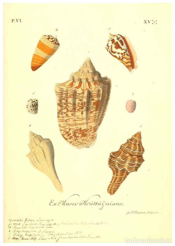 Sammeln von Zeitschriften und Zeitungen: Reproducci&oacute;n/Reproduction 6096664348: Vergn&uuml;gen der Augen und des Gem&uuml;ths. v.2 atlas. [Nuremberg :17