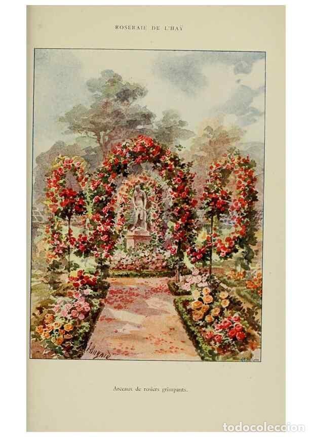 Sammeln von Zeitschriften und Zeitungen: Reproducci&oacute;n/Reproduction 7873445908: Les roses cultiv&eacute;es &agrave; l'Ha&yuml; en 1902 :. Paris :Rousset,1902. -