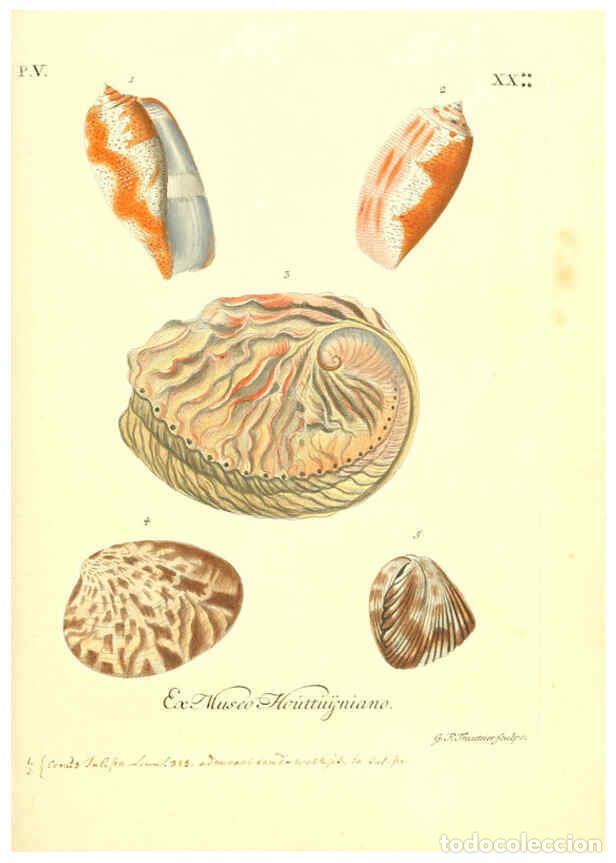 Sammeln von Zeitschriften und Zeitungen: Reproducci&oacute;n/Reproduction 6096111151: Vergn&uuml;gen der Augen und des Gem&uuml;ths. v.2 atlas. [Nuremberg :17