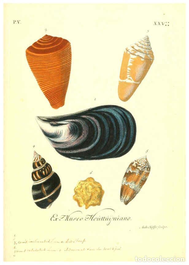 Sammeln von Zeitschriften und Zeitungen: Reproducci&oacute;n/Reproduction 6096657130: Vergn&uuml;gen der Augen und des Gem&uuml;ths. v.2 atlas. [Nuremberg :17