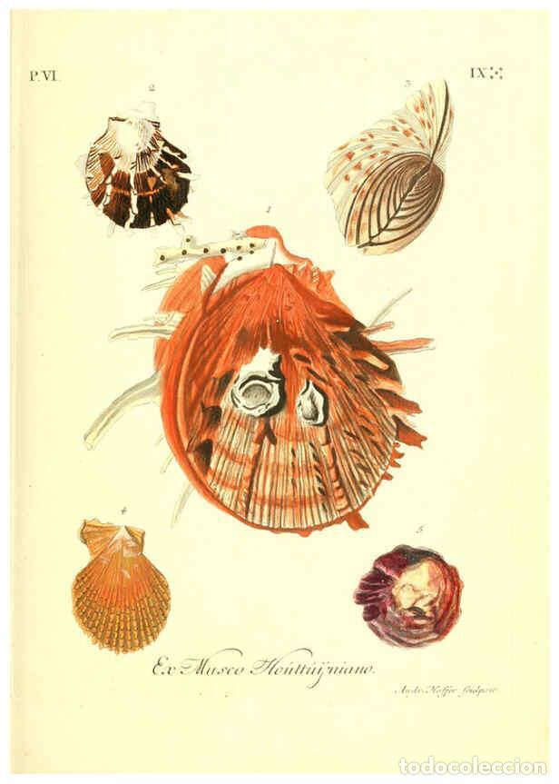 Sammeln von Zeitschriften und Zeitungen: Reproducci&oacute;n/Reproduction 6096117695: Vergn&uuml;gen der Augen und des Gem&uuml;ths. v.2 atlas. [Nuremberg :17