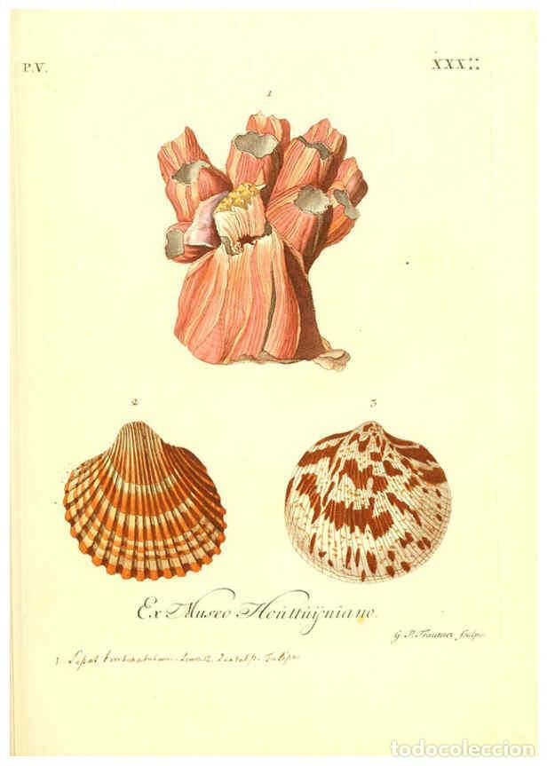 Sammeln von Zeitschriften und Zeitungen: Reproducci&oacute;n/Reproduction 6096115217: Vergn&uuml;gen der Augen und des Gem&uuml;ths. v.2 atlas. [Nuremberg :17