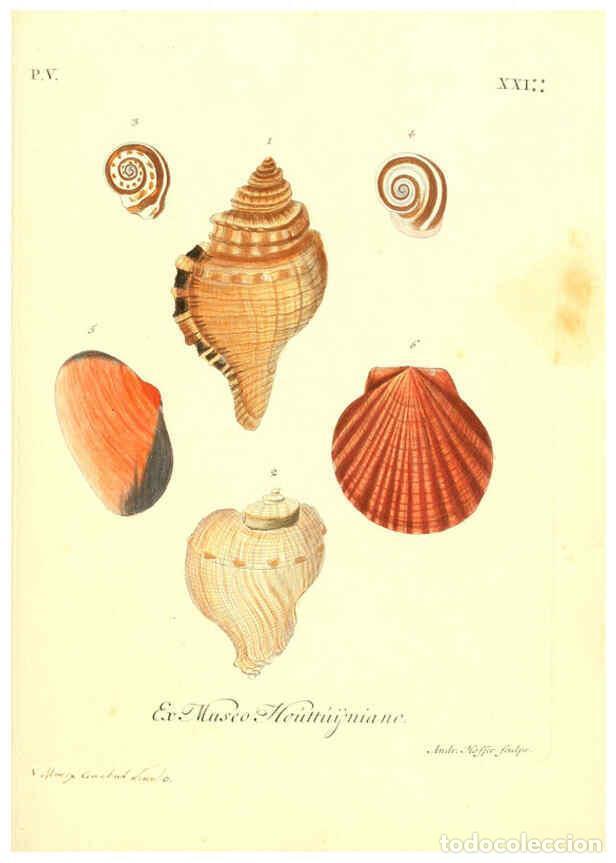 Sammeln von Zeitschriften und Zeitungen: Reproducci&oacute;n/Reproduction 6096656162: Vergn&uuml;gen der Augen und des Gem&uuml;ths. v.2 atlas. [Nuremberg :17