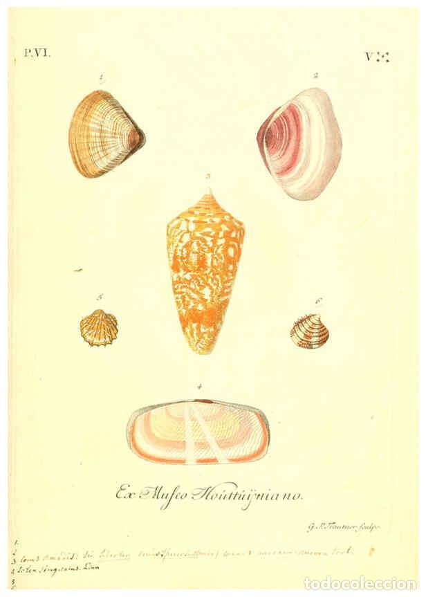 Sammeln von Zeitschriften und Zeitungen: Reproducci&oacute;n/Reproduction 6096661438: Vergn&uuml;gen der Augen und des Gem&uuml;ths. v.2 atlas. [Nuremberg :17