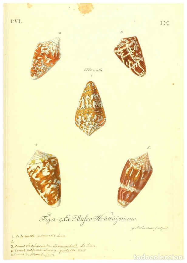 Sammeln von Zeitschriften und Zeitungen: Reproducci&oacute;n/Reproduction 6096115513: Vergn&uuml;gen der Augen und des Gem&uuml;ths. v.2 atlas. [Nuremberg :17