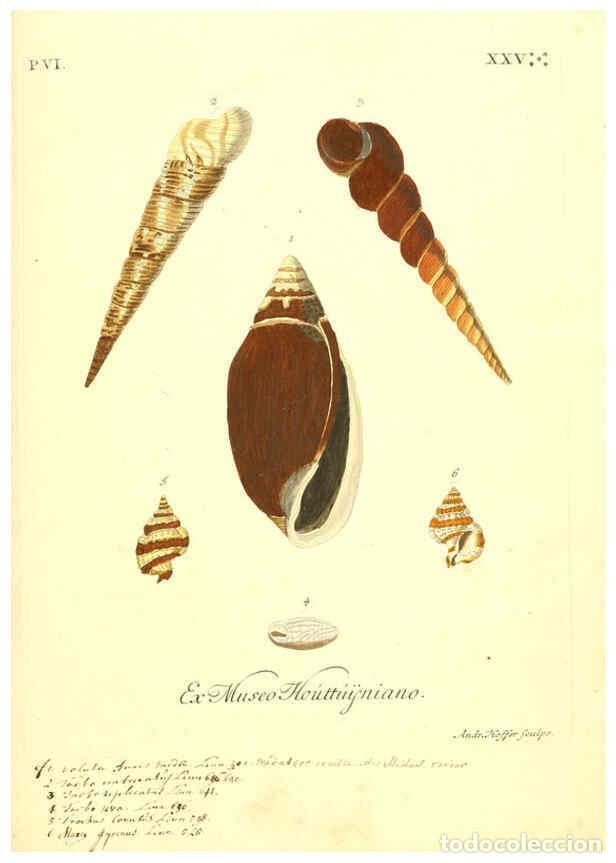 Colecionismo de Revistas e Jornais: Reproducci&oacute;n/Reproduction 6096122233: Vergn&uuml;gen der Augen und des Gem&uuml;ths. v.2 atlas. [Nuremberg :17