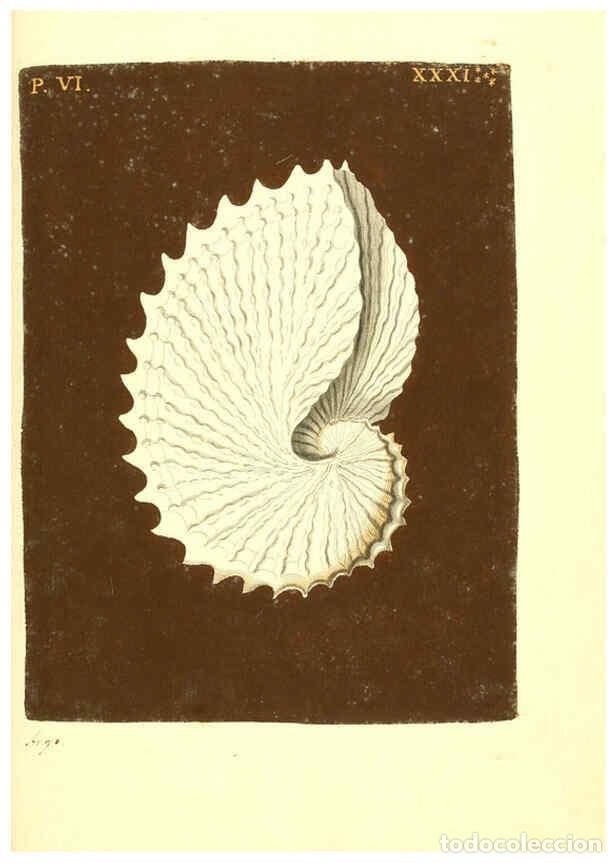 Colecionismo de Revistas e Jornais: Reproducci&oacute;n/Reproduction 6096668886: Vergn&uuml;gen der Augen und des Gem&uuml;ths. v.2 atlas. [Nuremberg :17